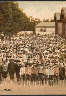 School - waihi-school