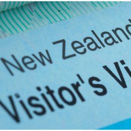 Visitor Visa